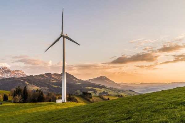 dia-mundial-del-medioambiente