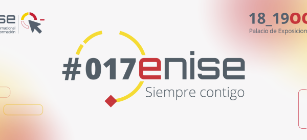 Ingram-Micro-ENISE