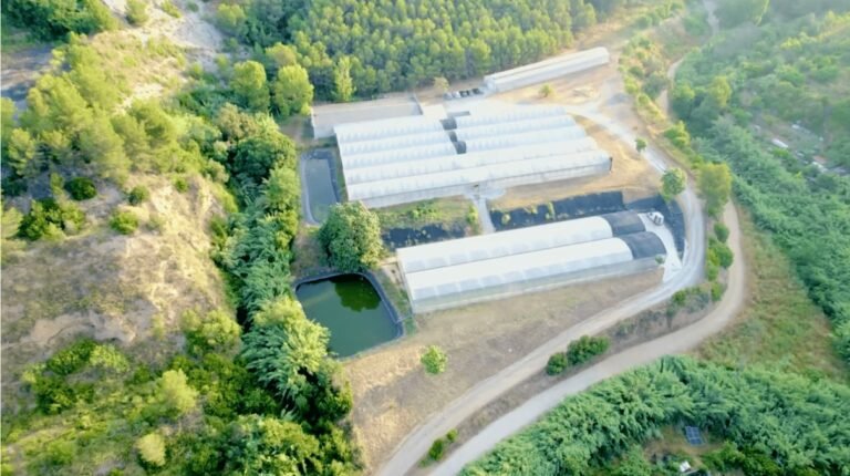 IN VITRO inicia una nueva etapa tras un cambio accionarial y prevé facturar 9,17 millones en 2030